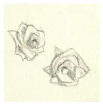 Visualizza l'immagine "FD D 1318"